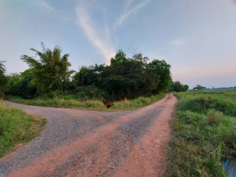 ขายที่ดินในตัวเมือง บรรยากาศดี ที่สวย เหมาะสำหรับทำหมู่บ้านจัดสรร รีสอร์ท หรือทำธุรกิจได้หลายอย่าง อเมือง จชัยภูมิ