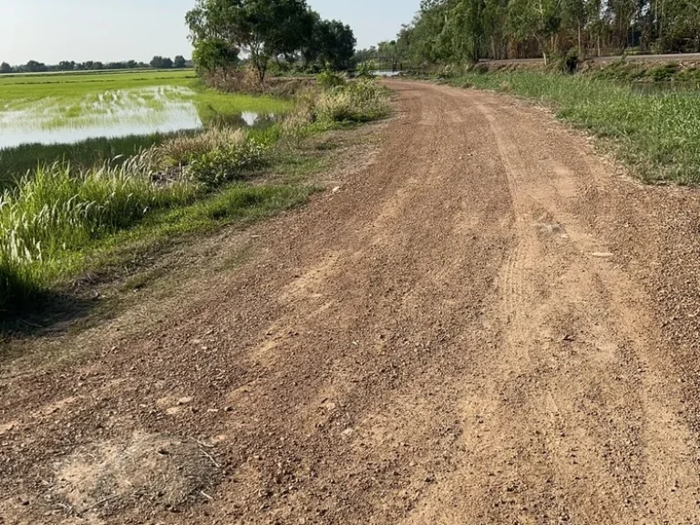 ขายทีดินการเกษตรราคาถูก ตดงละคร อเมืองนครนายก จนครนายก