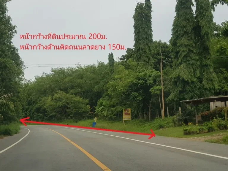 ขาย ที่ดินมีโฉนด พร้อมสวนยางพารากรีดแล้ว 34 ไร่ ติดถนนลาดยาง ระยอง