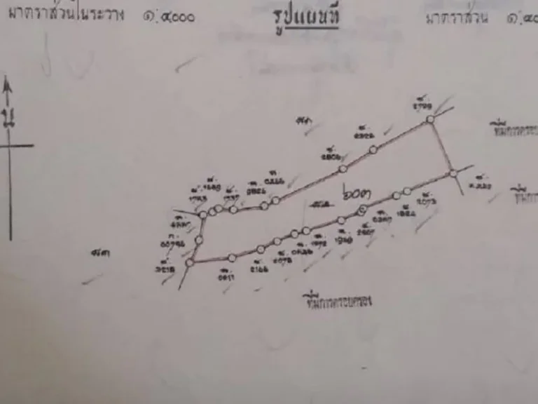 ขายที่นา นา 15 ไร่ ปัจจุบัน ที่ใกล้เคียงจะนิยมปลูกปาล์ม หน้าสถานีรถไฟตทุ่งคา อเมือง จชุมพร