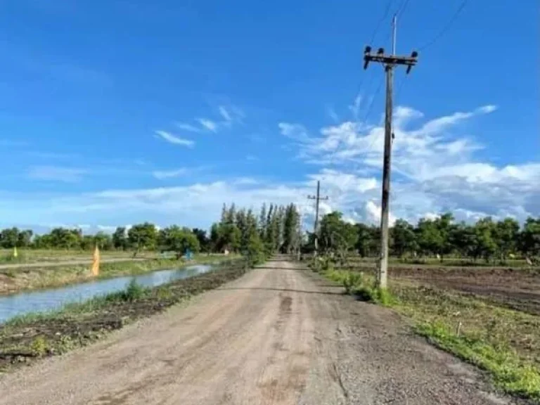 ขายที่ดิน บ้านสวนคลอง14 องครักษ์ นครนายก ระบบสาธารณูปโภคพร้อม ไฟฟ้า-น้ำประปา ที่ดินถมแล้ว