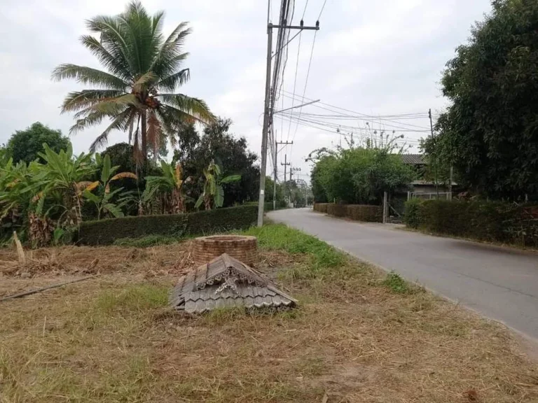 ขายที่ดินติดถนนลาดยางบ้านป่าไผ่สันทรายโฉนดพร้อมโอนราคาถูก