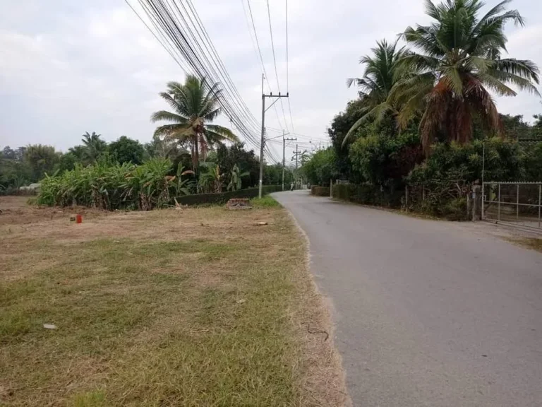 ขายที่ดินติดถนนลาดยางบ้านป่าไผ่สันทรายโฉนดพร้อมโอนราคาถูก