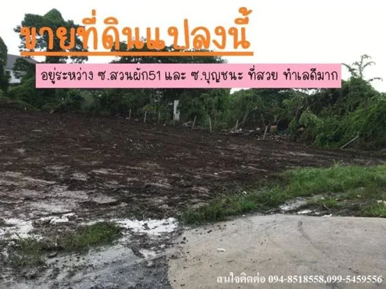 ขายที่ดินเปล่า เนื้อที่ 122 ตรว อยู่ระหว่าง ซสวนผัก51 และ ซบุญชนะ ที่สวย ทำเลดีมาก