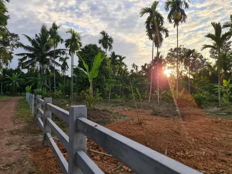 ขายบ้านลอฟท์พร้อมสวนผสมด้านข้างติดคลอง เหมาะสำหรับพักผ่อนวัยเกษียณบรรยากาศดีมากๆโอโซนดี อแกลง จระยอง