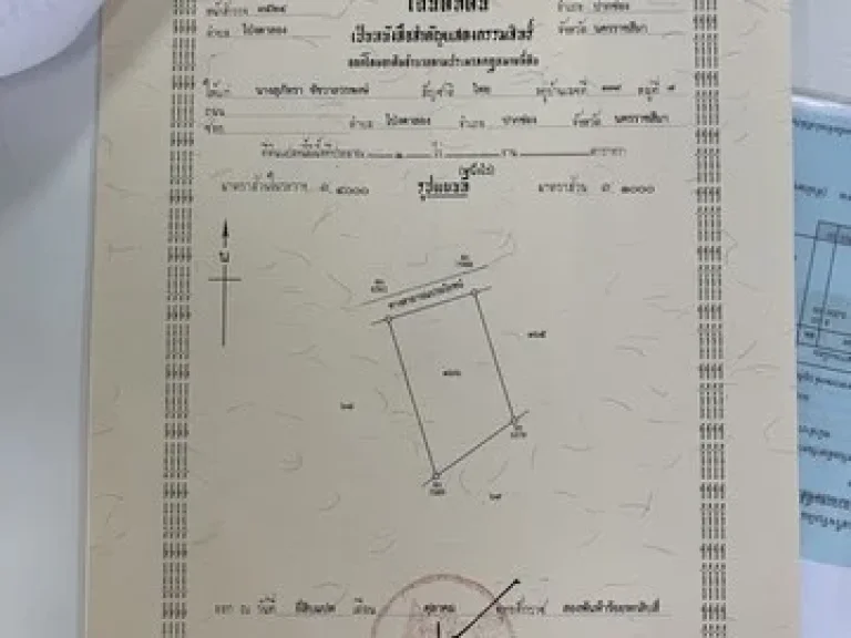 ขายด่วน ที่ดินเปล่า1 ไร่ ขอไฟฟ้าเรียบร้อย วิวเขาล้อมรอบ ใกล้คาเฟ่ และแหล่งท่องเที่ยวโป่งตาลอง