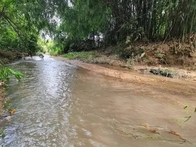 ขายที่ดินวิวภูเขา บ้านพักตากอากาศ บ้านวัยเกษียณ ใกล้ลำธารสาธารณะ น้ำ ไฟพร้อม มีโฉนด สำนักทอง ระยอง