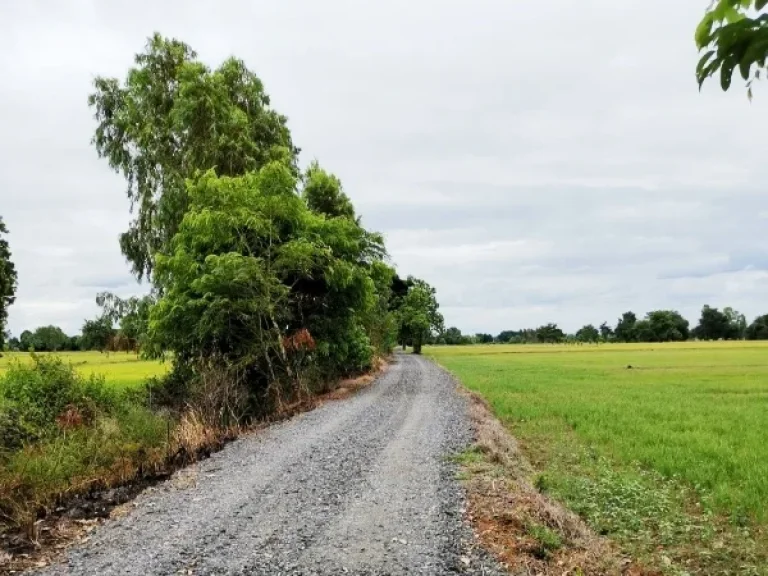 ขาย ที่ดิน 64-2-44 ไร่ อำเภอหนองบัว ตำบลห้วยถั่วเหนือ จังหวัดนครสวรรค์