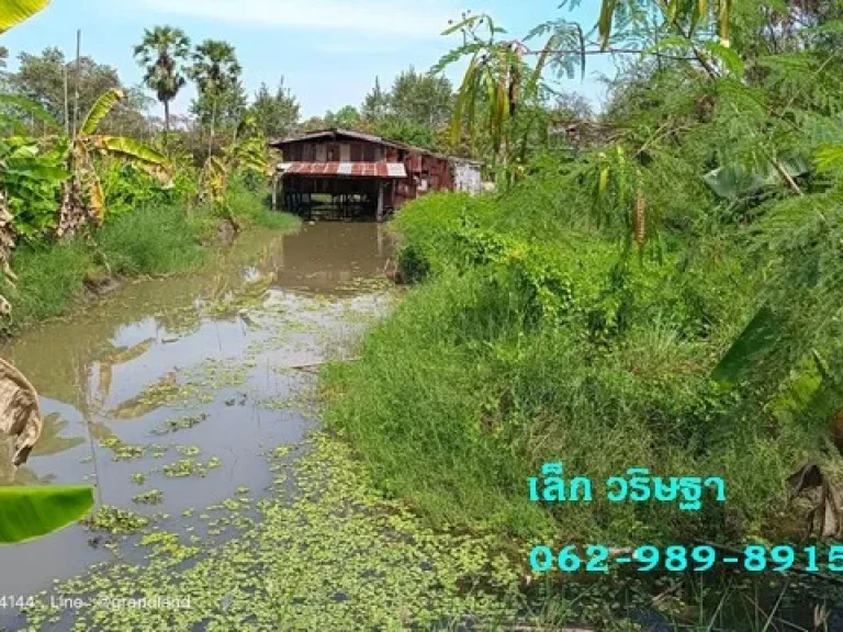 ขาย ที่ดินคลอง 11 หนองเสือ ใกล้วัดป่าคลอง 11 เนื้อที่ 80-1-70 ไร่ รูปแปลงสี่เหลี่ยมผืนผ้า