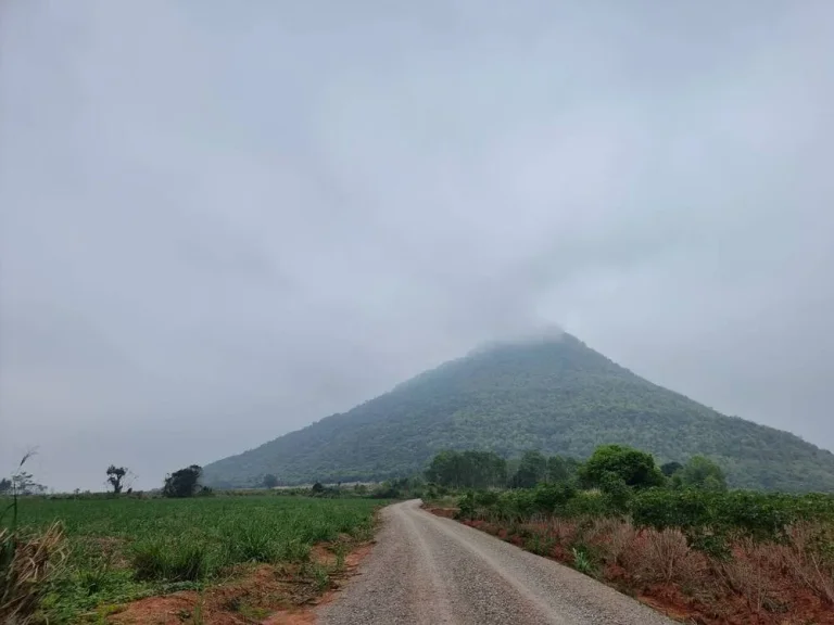 ขาย ที่ดิน ที่ตากอากาศ ราคาถูก อำเภอสีคิ้ว จังหวัดโคราช