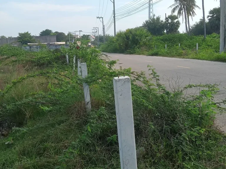 ขายที่ดินติดทะเล 35 ไร่ หน้าหาดติดทะเลสวย ธรรมชาติสมบูรณ์