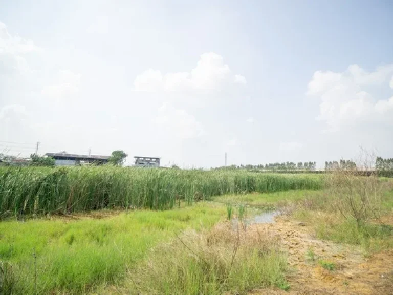 ขาย ที่ดิน ติดถนนสายเอเชีย ตบางเดื่อ อบางปะหัน อยุธยา