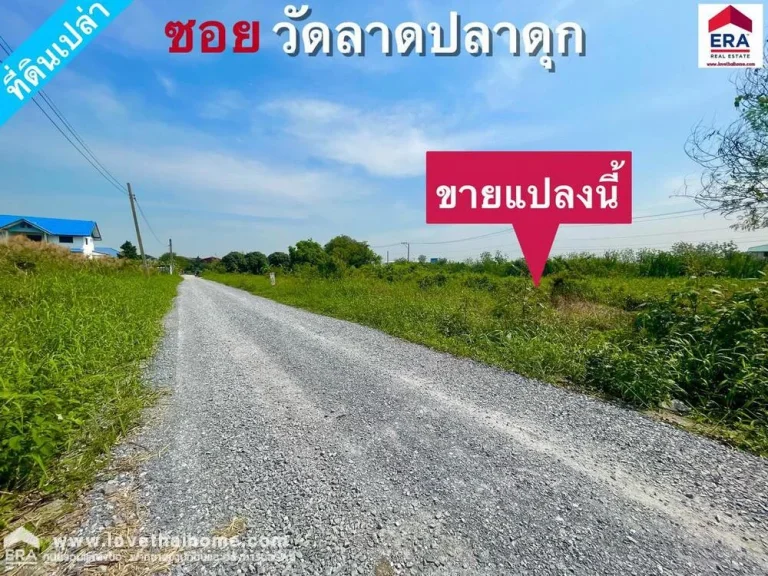 ขายที่ดิน ซวัดลาดปลาดุก บางบัวทอง พื้นที่400ตรว ใกล้สำนักงานเทศบาลเมืองพิมลราช เหมาะสำหรับปลูกสร้างบ้านพักอาศัย หรือสร้างออฟฟิศ