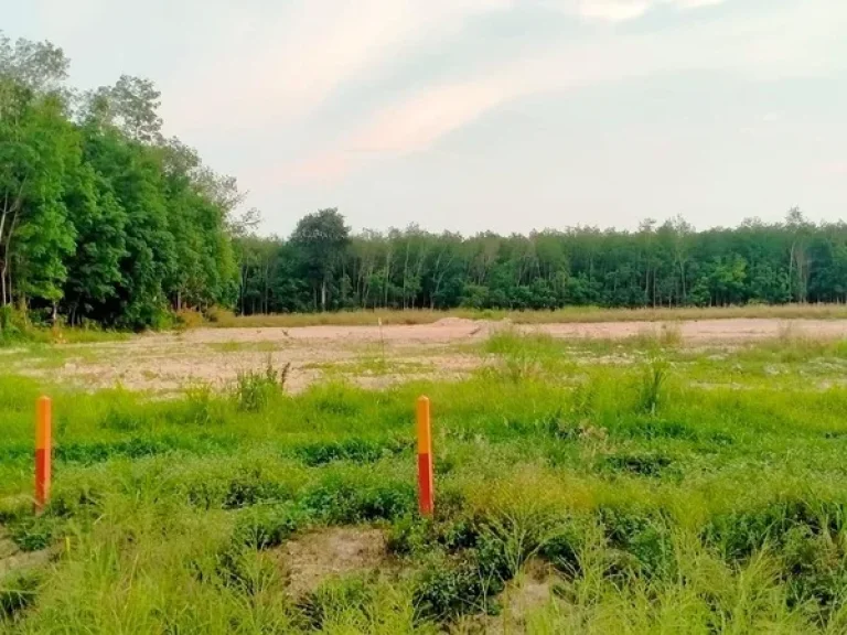 ขายที่ดินใกล้วัดละหารไร่วัดหลวงปู่ทิมติดถนนหลักเจ้าของขายเอง