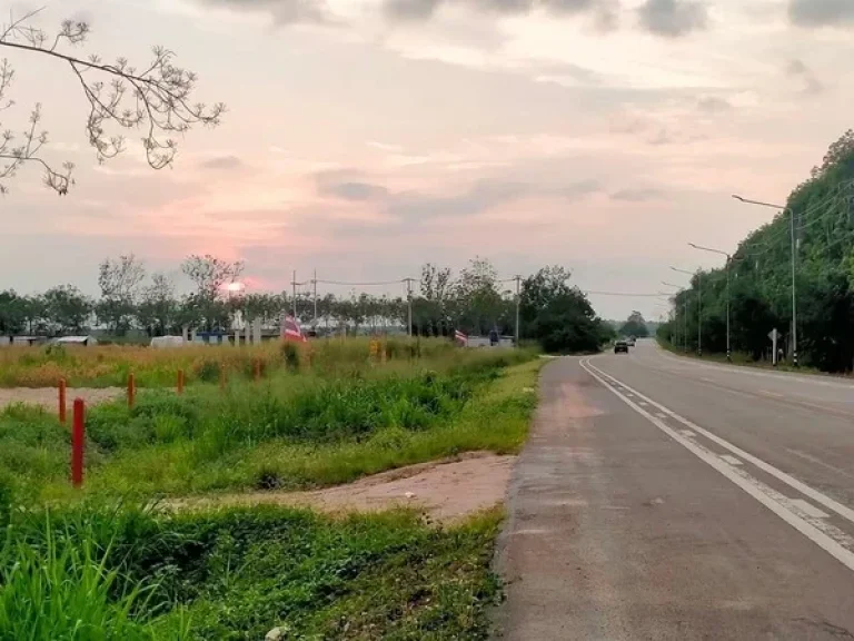 ขายที่ดินใกล้วัดละหารไร่วัดหลวงปู่ทิมติดถนนหลักเจ้าของขายเอง