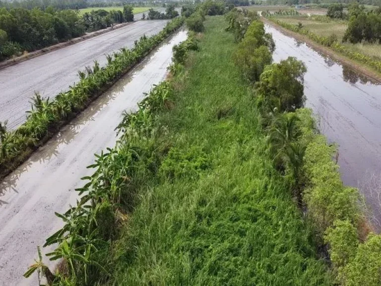 ขายที่ดิน คลองสิบสามคลอง13 ถนนลำลูกกา เขตหนองจอก กรุงเทพมหานคร