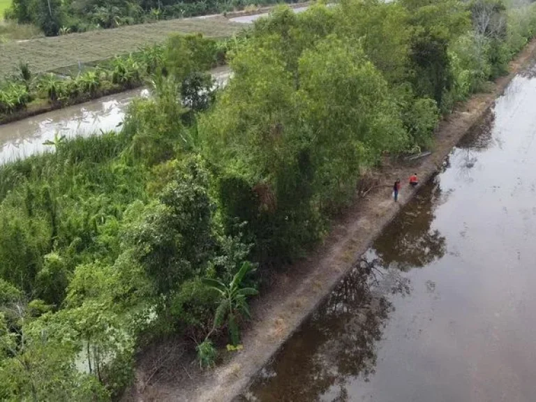 ขายที่ดิน คลองสิบสามคลอง13 ถนนลำลูกกา เขตหนองจอก กรุงเทพมหานคร