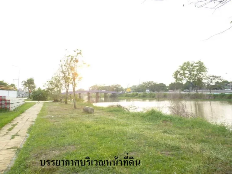 ขายที่ดิน 41 ตรวปทุมธานี ธัญบุรี ติดถนนคลองรังสิต-นครนายก คลอง 12 สำหรับปลูกบ้าน เปิดร้านขายของ เจ้าของขายเอง พร้อมโอน