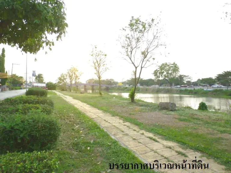 ขายที่ดิน 41 ตรวปทุมธานี ธัญบุรี ติดถนนคลองรังสิต-นครนายก คลอง 12 สำหรับปลูกบ้าน เปิดร้านขายของ เจ้าของขายเอง พร้อมโอน