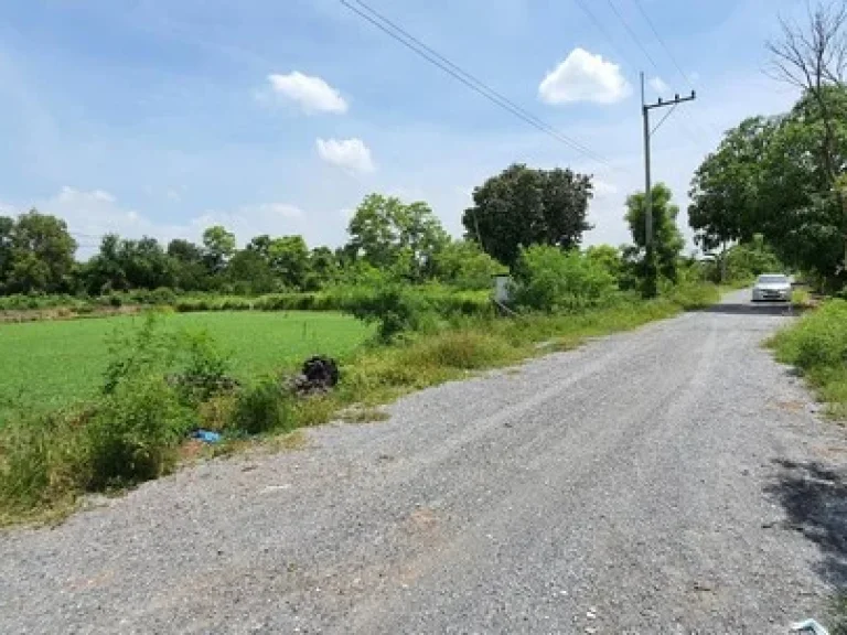 ขายที่ดินคลอง 12 หนองเสือ 200 ตรว มีไฟฟ้า มีน้ำประปา เหมาะปลูกบ้าน ทำเกษตรเล็กๆ บรรยากาศดี