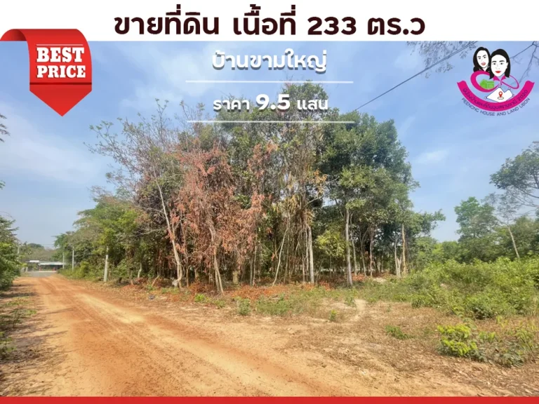 ขายที่ดิน ห่างจากถนนทุ่งหลวงเพียง 50เมตร ใกล้อนามัยขามใหญ่