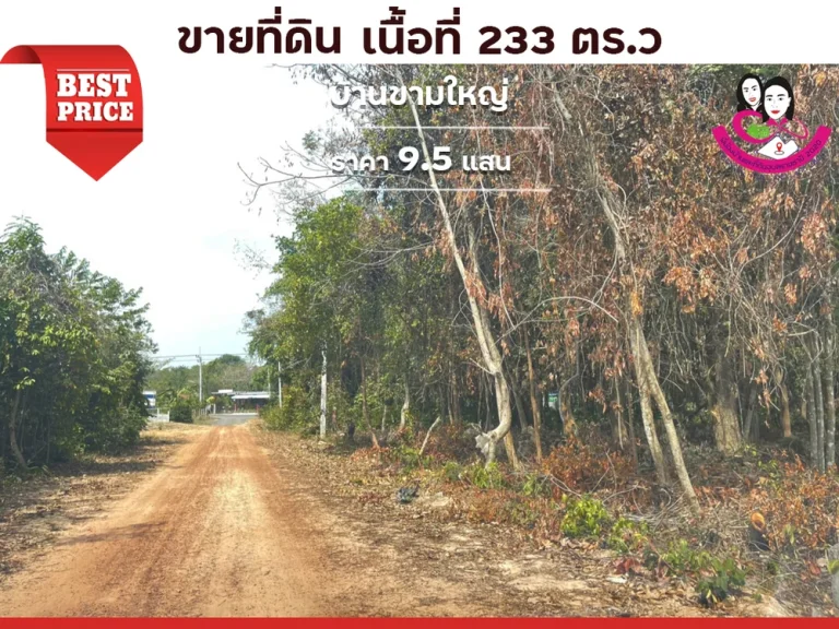 ขายที่ดิน ห่างจากถนนทุ่งหลวงเพียง 50เมตร ใกล้อนามัยขามใหญ่