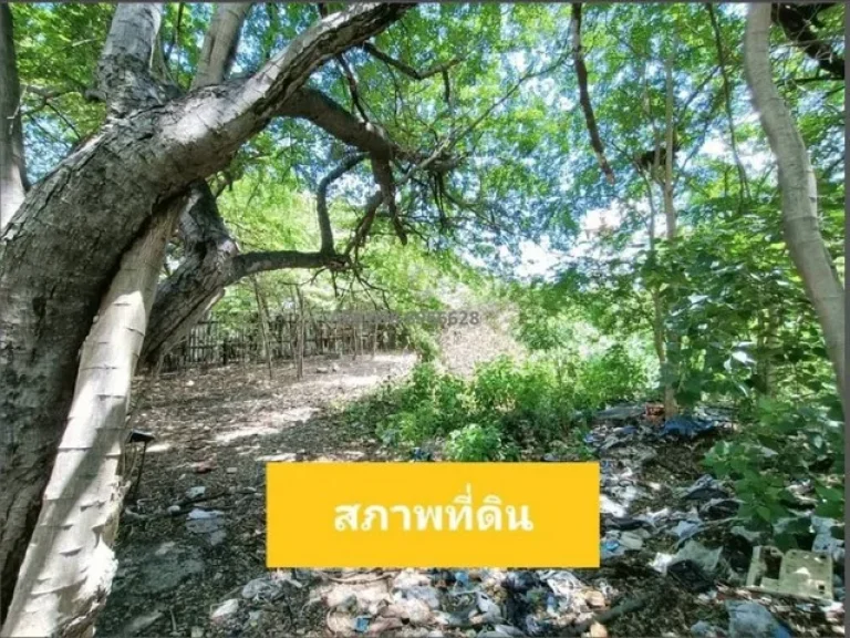 ขายที่ดิน พุทธมณฑลสาย 5 ผังสีม่วง 5-0-18 ไร่ กระทุ่มแบน สมุทรสาคร