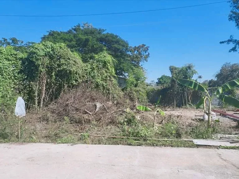 ขายที่ดินบ้านแหวนหางทะลุสันผักหวานหางดงได้โฉนดพร้อมโอน