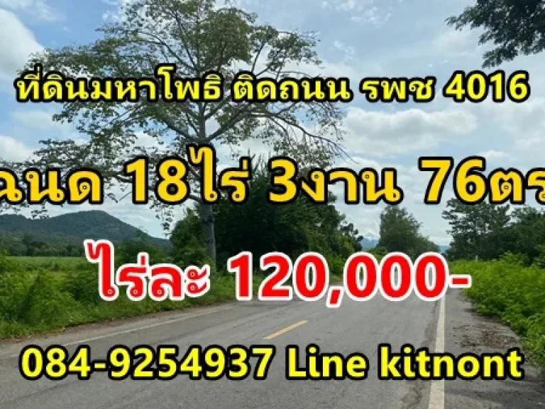 ที่ดินติดถนน รพชหมายเลข 4016 เนื้อที่18 ไร่ 3 งาน 76 ตรว ต มหาโพธิ อสระโบสถ์ จลพบุรี