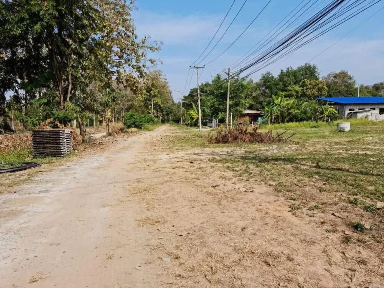 ขายที่ดินบ้านลวงเหนือดอยสะเก็ตแหล่งชุมชนน้ำไฟพร้อมโอนราคาถูก