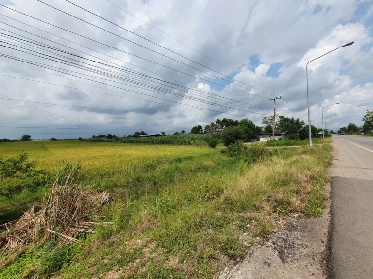 ขายด่วน ขายที่ดินปทุมธานี ลำลูกกา เจ้าของขายเองติดถนนใหญ่