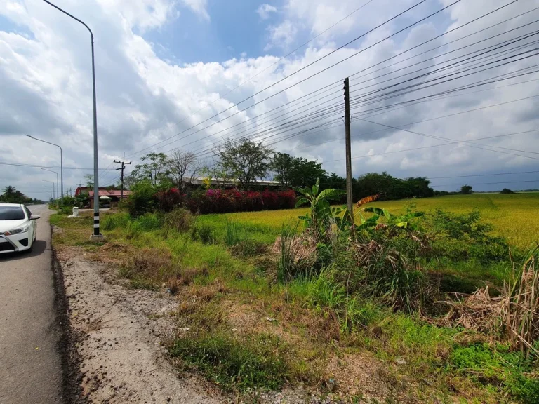 ขายด่วน ขายที่ดินปทุมธานี ลำลูกกา เจ้าของขายเองติดถนนใหญ่