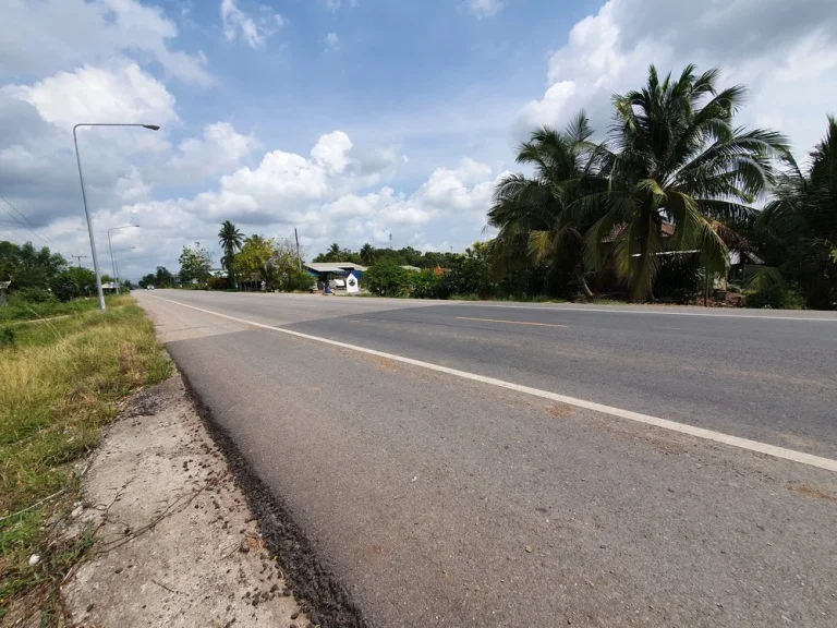 ขายด่วน ขายที่ดินปทุมธานี ลำลูกกา เจ้าของขายเองติดถนนใหญ่