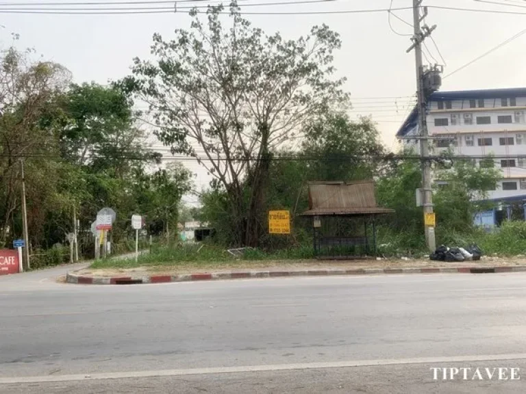 ขายที่ดิน 1 ไร่ เศษ ที่ดินริมถนนใหญ่ ใกล้ประปาสันกำแพง เชียงใหม่ Land on 1006 Road for SALE Near Sankamphaeng Water Works Chiangmai THAILAND