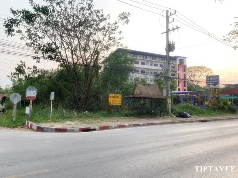 ขายที่ดิน 1 ไร่ เศษ ที่ดินริมถนนใหญ่ ใกล้ประปาสันกำแพง เชียงใหม่ Land on 1006 Road for SALE Near Sankamphaeng Water Works Chiangmai THAILAND