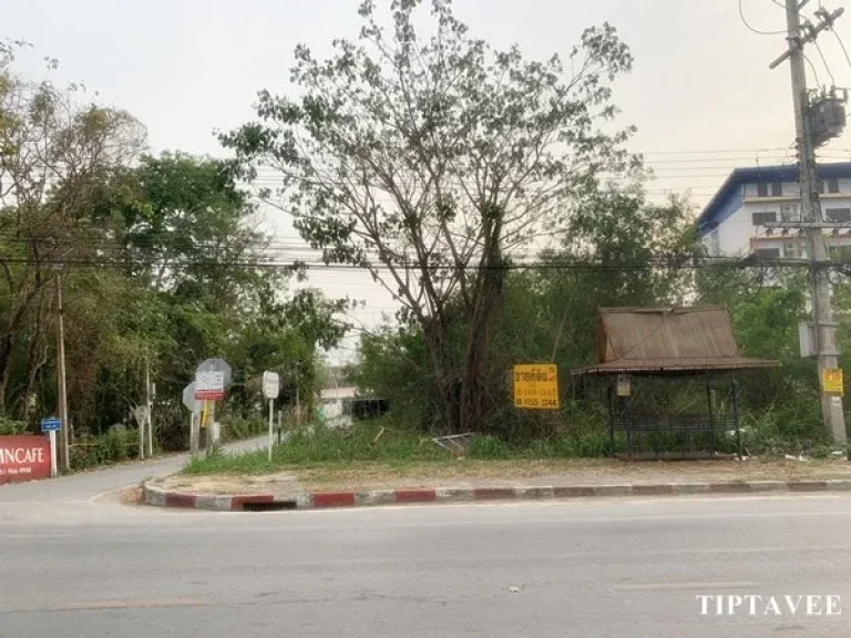 ขายที่ดิน 1 ไร่ เศษ ที่ดินริมถนนใหญ่ ใกล้ประปาสันกำแพง เชียงใหม่ Land on 1006 Road for SALE Near Sankamphaeng Water Works Chiangmai THAILAND