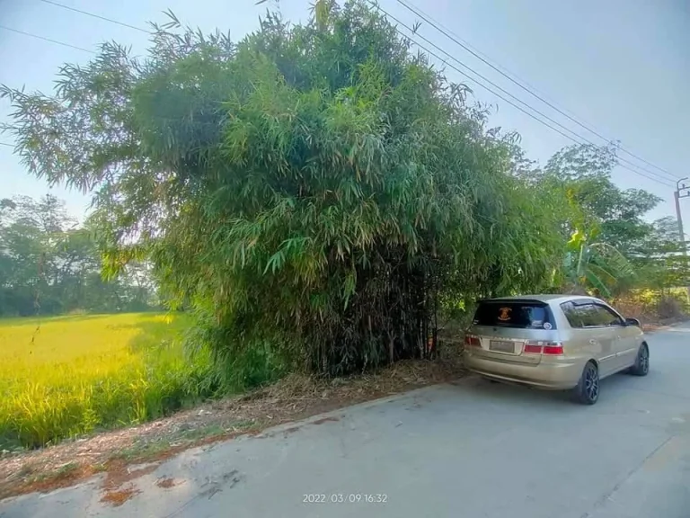 ขายที่ดิน ในหมู่บ้านเคหะการเกษตร ซอย16 ไทรน้อย นนทบุรี