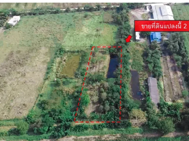 ขายที่ดิน 2 ไร่ คลอง 14 อหนองเสือ จปทุมธานี ฟรีค่าโอน ขาย 169 ล้านบาท