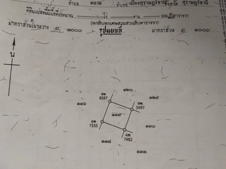 ขายถูกมาก บ้านเดี่ยว 2ชั้น ใจกลางเมืองสุราษฎร์ธานี เดินทางสะดวกสบาย ใกล้เซ็นทรัล โลตัส แม็คโครสุราษฎร์ธานี