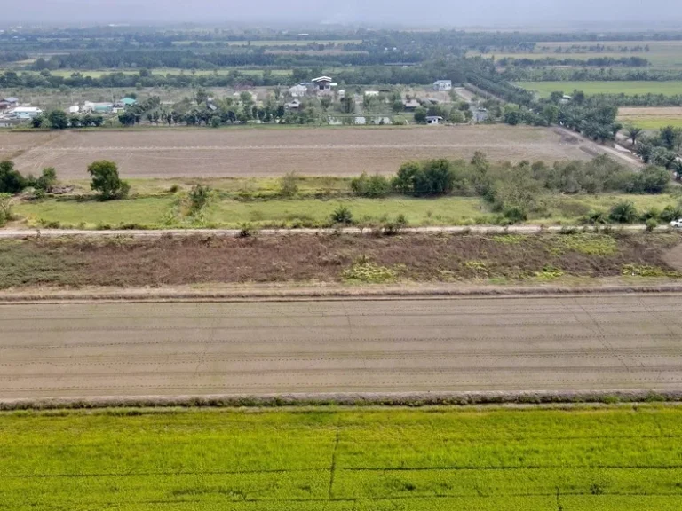 ที่ดินแบ่งขายคลอง 8 หนองเสือ ปทุมธานี แบ่ง 143 ตรว-200 ตรว