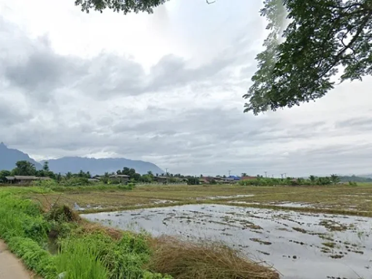 ที่ดินที่นา เนื้อที่ 2 ไร่ ที่ดินวิวดอยหลวง สงบ ใกล้ชิดธรรมชาติ ตเชียงดาว อเชียงดาว จเชียงใหม่