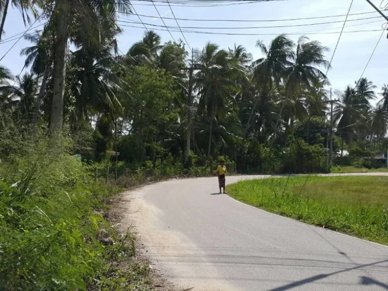 ประกาศขายที่ดินเปล่า ตห้วยยาง อทับสะแก จประจวบคีรีจันธ์