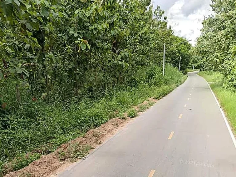 ที่ดินแปลงสวย ติดถนนลาดยาง มีไฟฟ้า เวียงสา น่าน