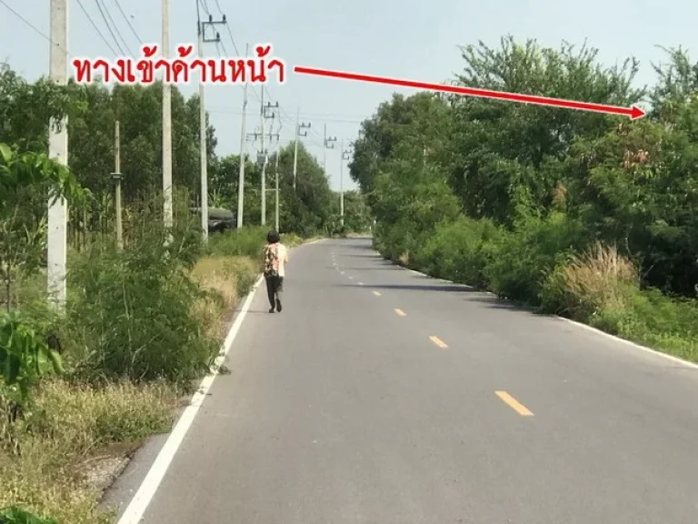 ขายที่ดินแปลงเกษตร1 ไร่ ซอยวัดบัวหวั่น จ นครปฐม เจ้าของขายเอง