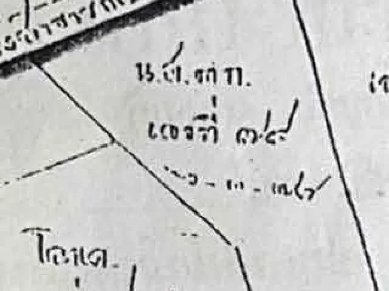 ขายที่ดินติดถนน 340 เหมาะทำการเกษตร ศรีประจันต์ สุพรรณบุรี