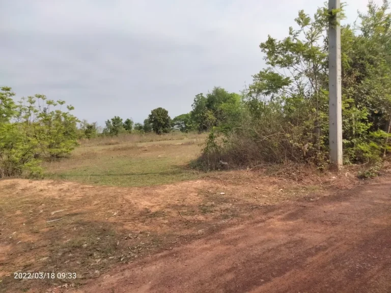 Land for sale udonthani cityขายที่ดิน 11ไร่3งาน ติดอบตนากว้าง อเมือง อุดร ไร่ละไม่ถึง3 แสนบาท