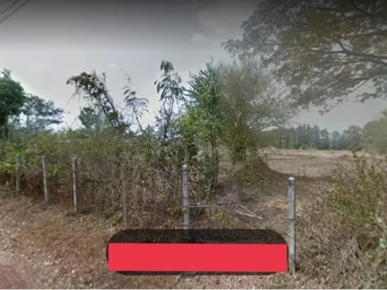 Land for sale udonthani cityขายที่ดิน 11ไร่3งาน ติดอบตนากว้าง อเมือง อุดร ไร่ละไม่ถึง3 แสนบาท