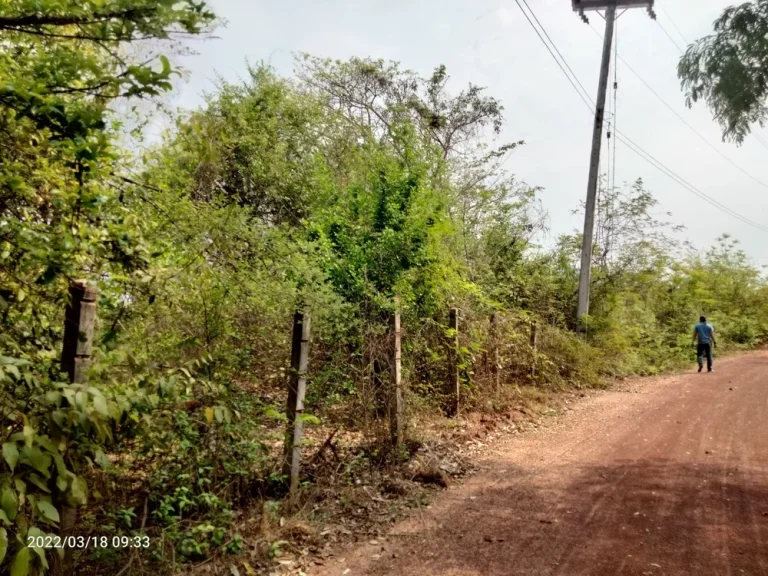 Land for sale udonthani cityขายที่ดิน 11ไร่3งาน ติดอบตนากว้าง อเมือง อุดร ไร่ละไม่ถึง3 แสนบาท