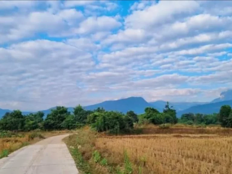 ขายที่นาติดถนนคอนกรีตจอมทองวิวดอยหัวเสือโฉนดพร้อมโอน