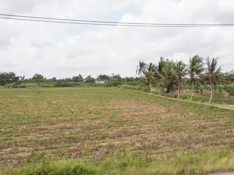 ขาย ที่ดิน ตดอนปรู อศรีประจันต์ จสุพรรณบุรี ติดคลอง ติดทางสาธารณประโยชน์